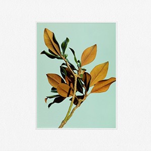 Wet - "Deadwater" single cover artwork